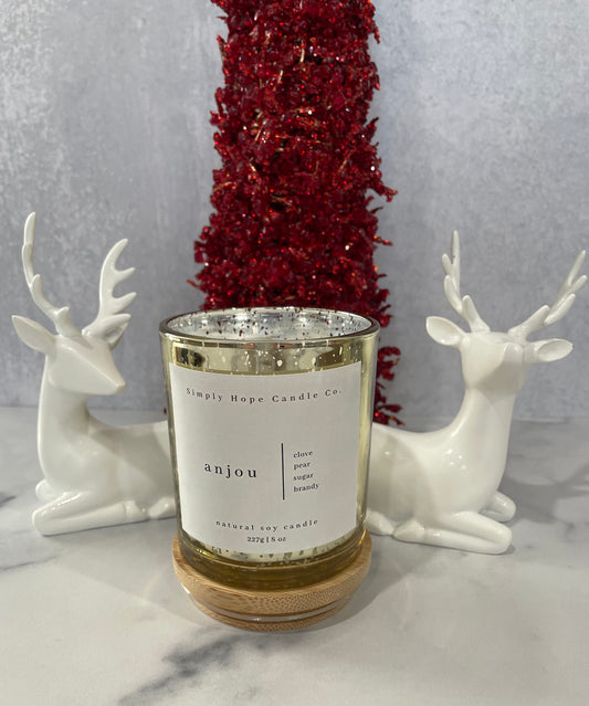 Handmade Soy Wax Candle Anjou Gift Small Batch Aromatherapy Christmas Holidays Winter