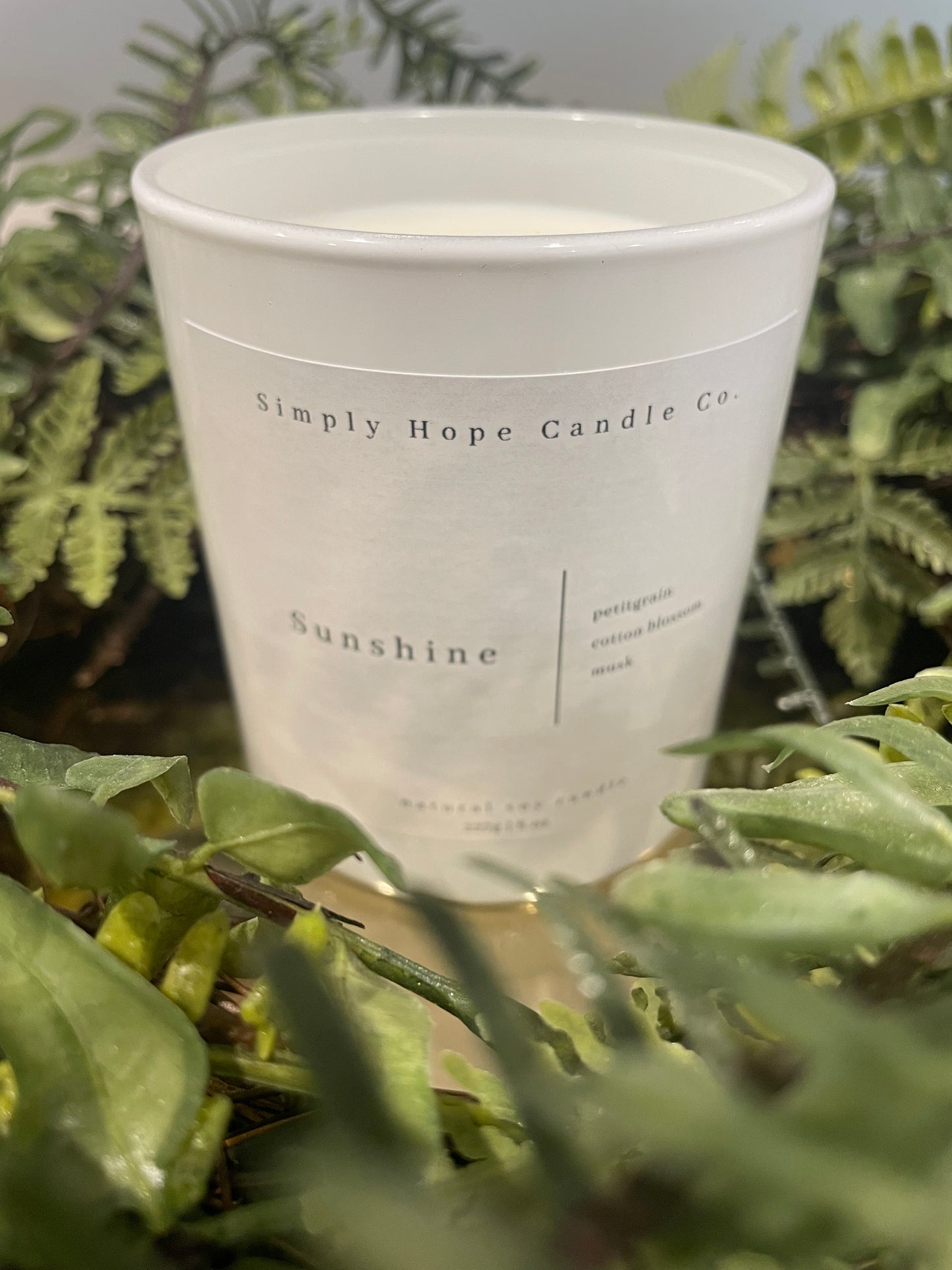 Soy Wax Candle, Sunshine, All Natural, Home Decor, Gift for Her, Hostess Gift, Non-Toxic, Fresh Scent Candle, Hand Poured