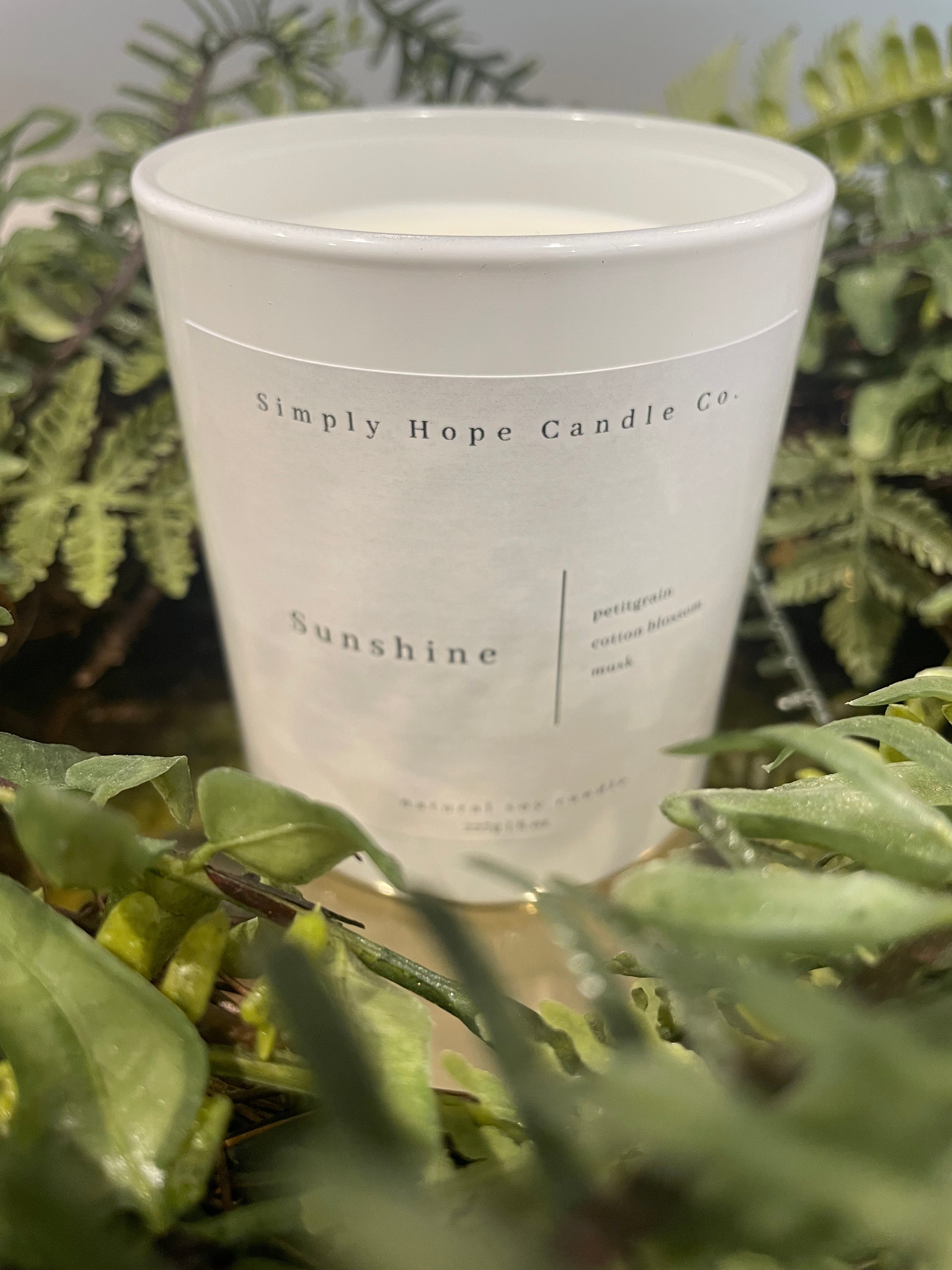 Sunshine (petitgrain + cotton blossom + musk)