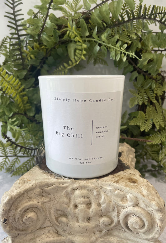 Soy Wax Candle, The Big Chill Scent, All Natural, Home Decor, Gift for Her, Hostess Gift, Non-Toxic, Fresh Scent Candle, Hand Made Candle